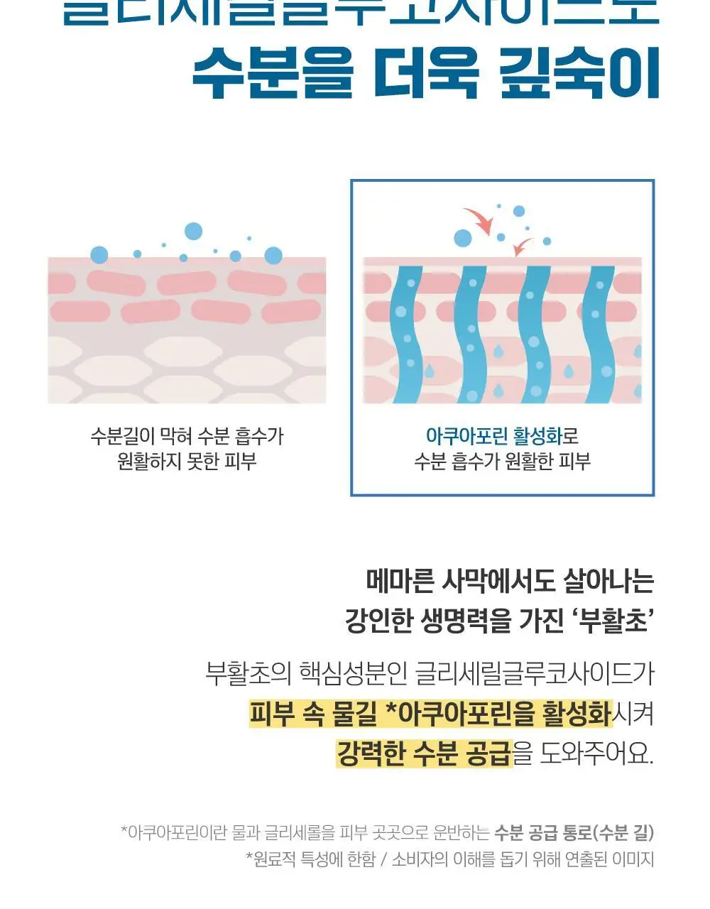 [저자극/안심자차] 라운드랩 자작나무 무기자차 선크림 50ml 기획 (+클렌저20ml) 상세페이지 14
